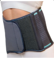 BODY BELTS & BRACES
